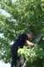 dsc01129_small.jpg