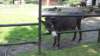 dsc02424_small.jpg