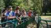 dsc02432_small.jpg