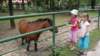 dsc02482_small.jpg