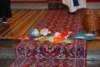 dsc_0032_small.jpg