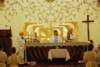dsc_0018_small.jpg