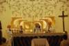 dsc_0020_small.jpg