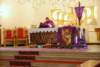 dsc_0037_small.jpg