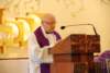 dsc_0017_small.jpg