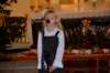 dsc_4388_small.jpg