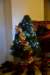 dsc_4409_small.jpg