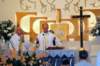 dsc_0131_small.jpg