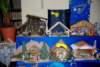 dsc_0089_small.jpg
