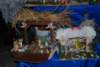 dsc_0091_small.jpg