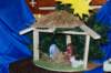 dsc_0226_small.jpg