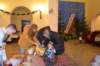 photo120_small.jpg
