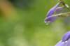 _dsc0920_small.jpg