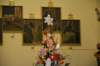 dsc_3769_small.jpg