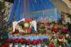 dsc_3832_small.jpg