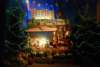dsc_0174_small.jpg