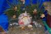 dsc_0123_small.jpg