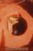 dsc_1641_small.jpg