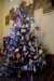 dsc_6031_small.jpg
