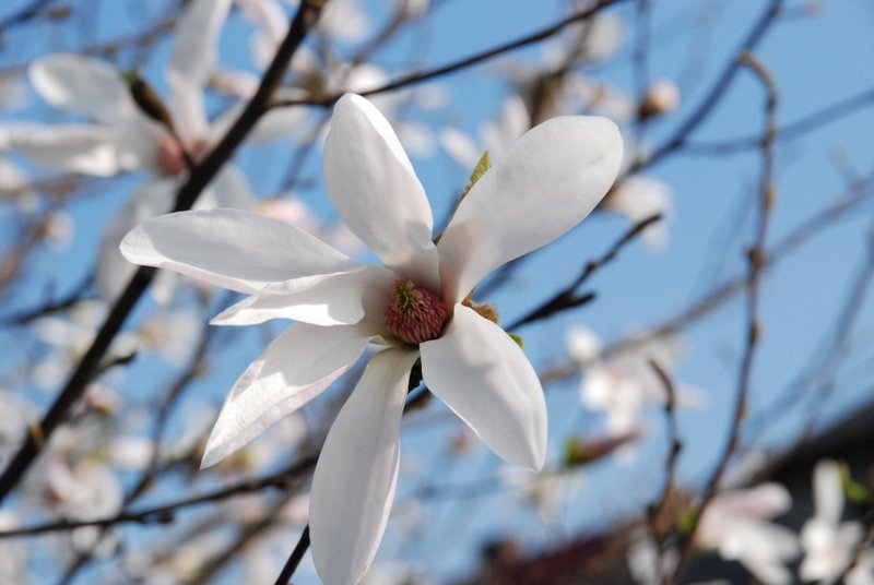 dsc_0047.jpg