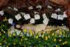 dsc_0115_small.jpg