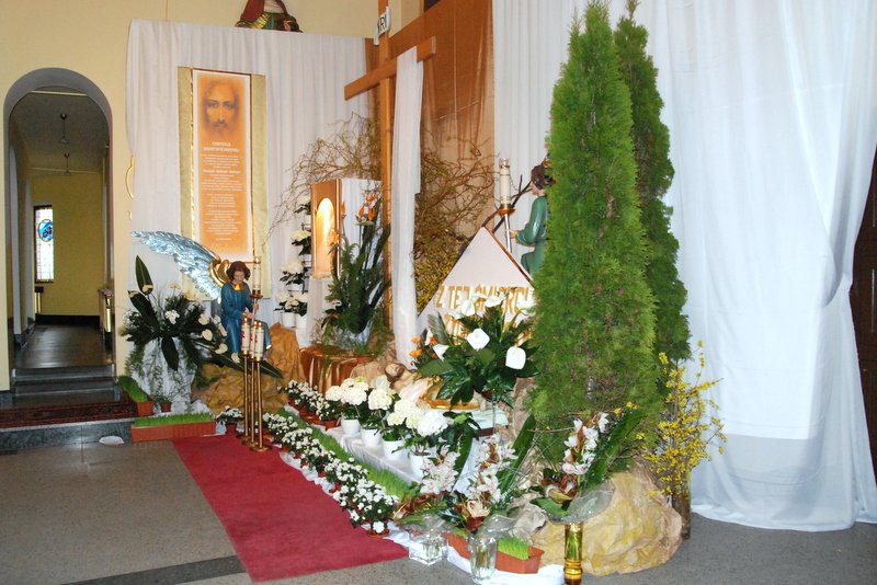 dsc_0130.jpg