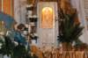 dsc_0137_small.jpg
