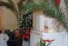 dsc_0106_small.jpg