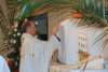 dsc_0116_small.jpg