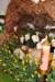 dsc_0125_small.jpg
