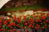 _dsc2255_small.jpg