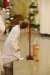 dsc_0078_small.jpg