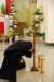 dsc_0102_small.jpg