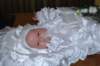 dsc_0101_small.jpg