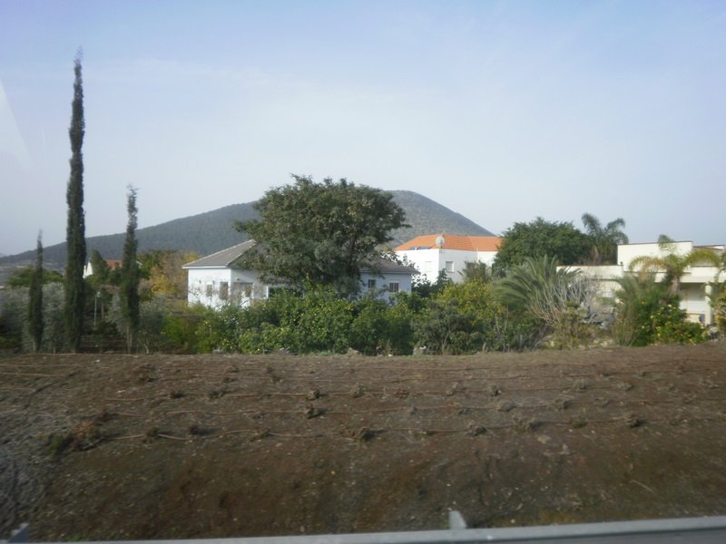 p2140026.jpg