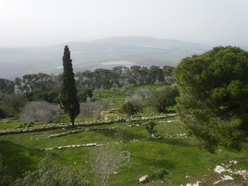 p2140048.jpg