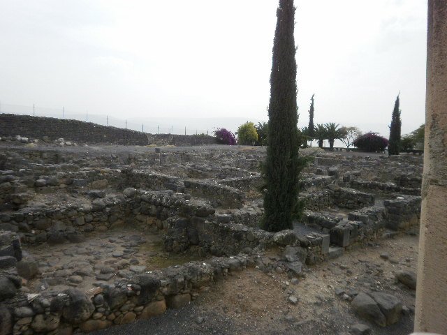 p2150115.jpg