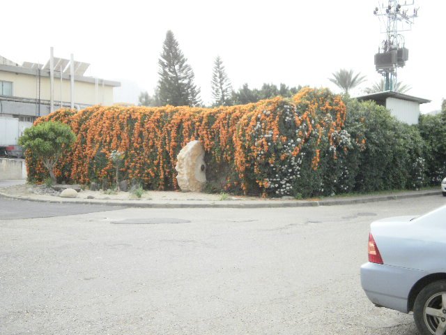 p2150133.jpg