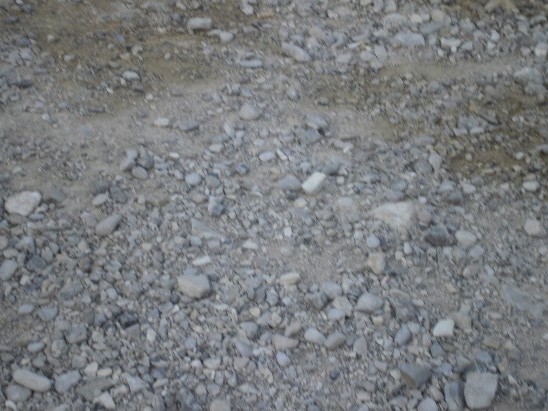 p2160165.jpg
