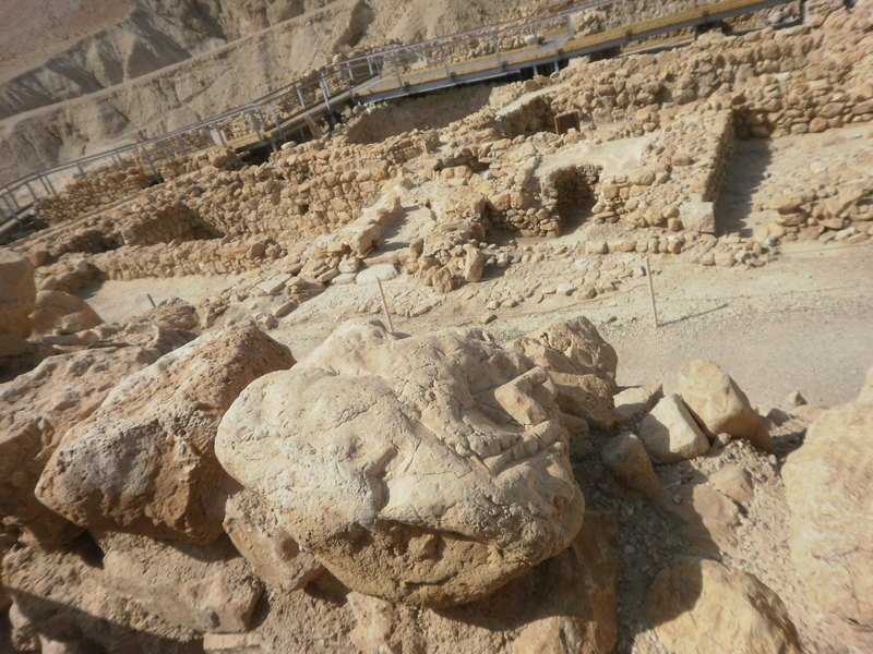 p2160188.jpg