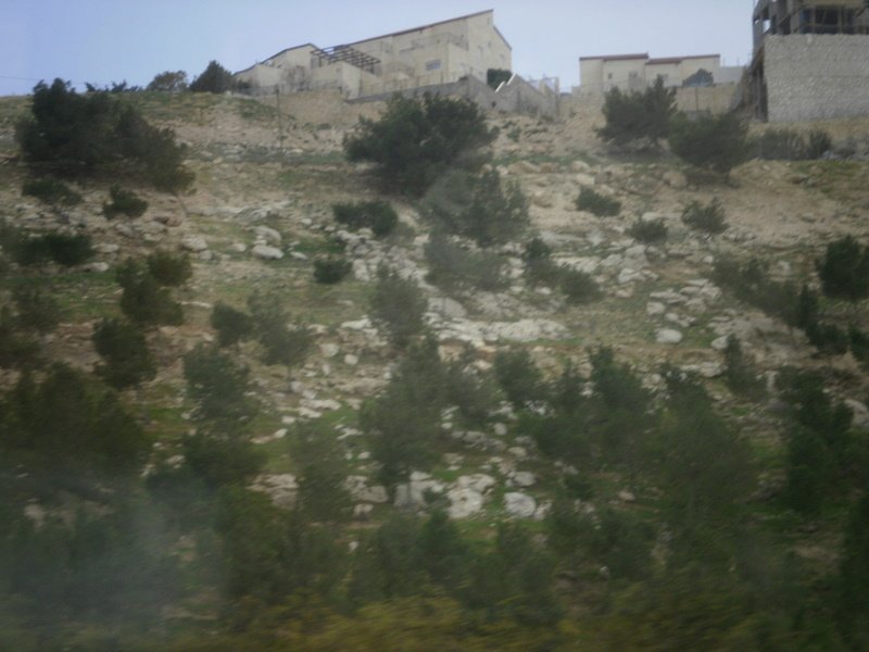 p2160200.jpg