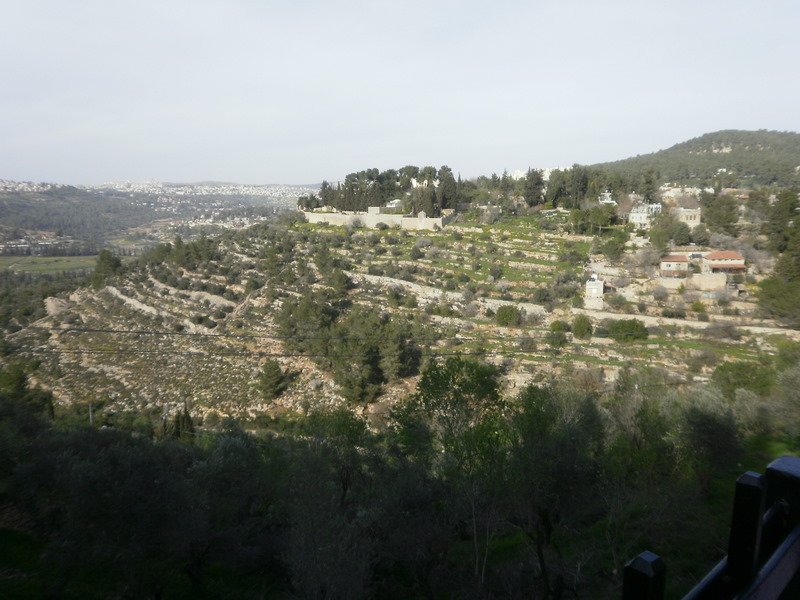 p2170270.jpg