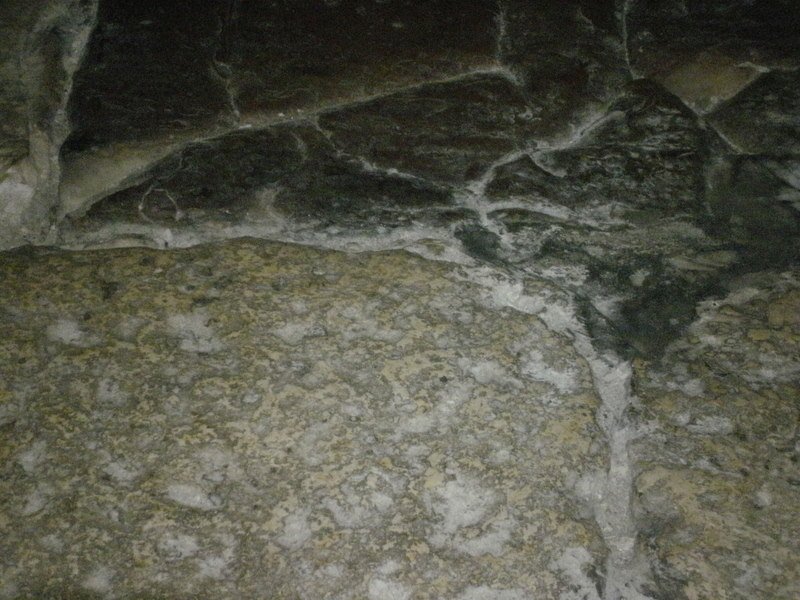 p2180299.jpg