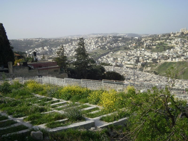 p2190423.jpg