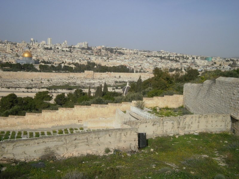 p2190424.jpg
