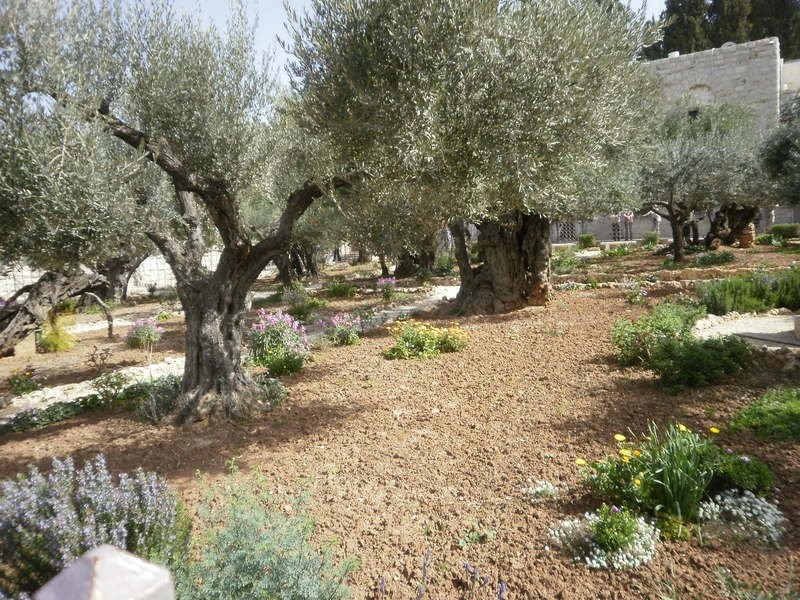 p2190436.jpg